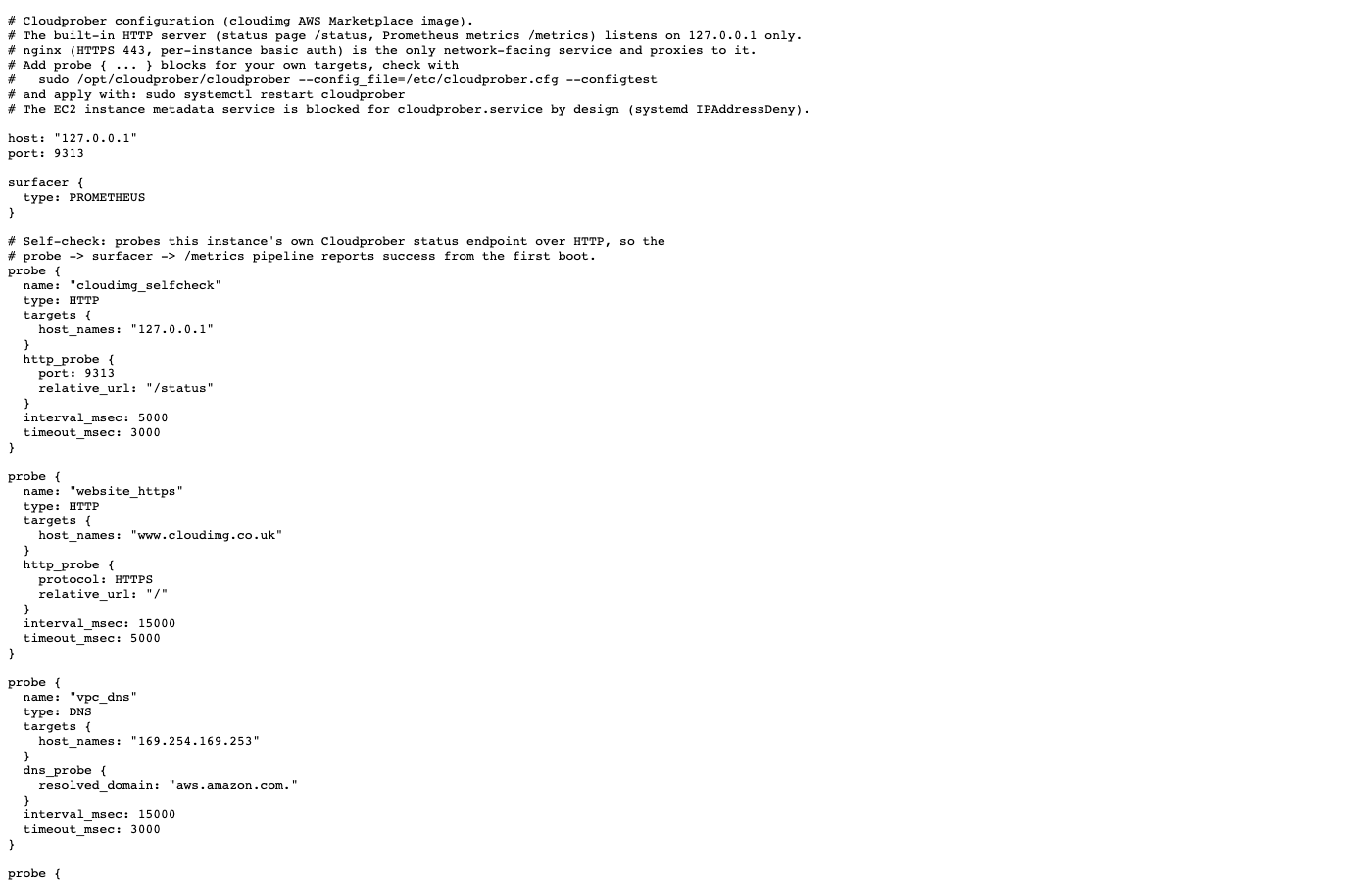 The running configuration page with the self-check probe and the website, VPC DNS and TCP example probes