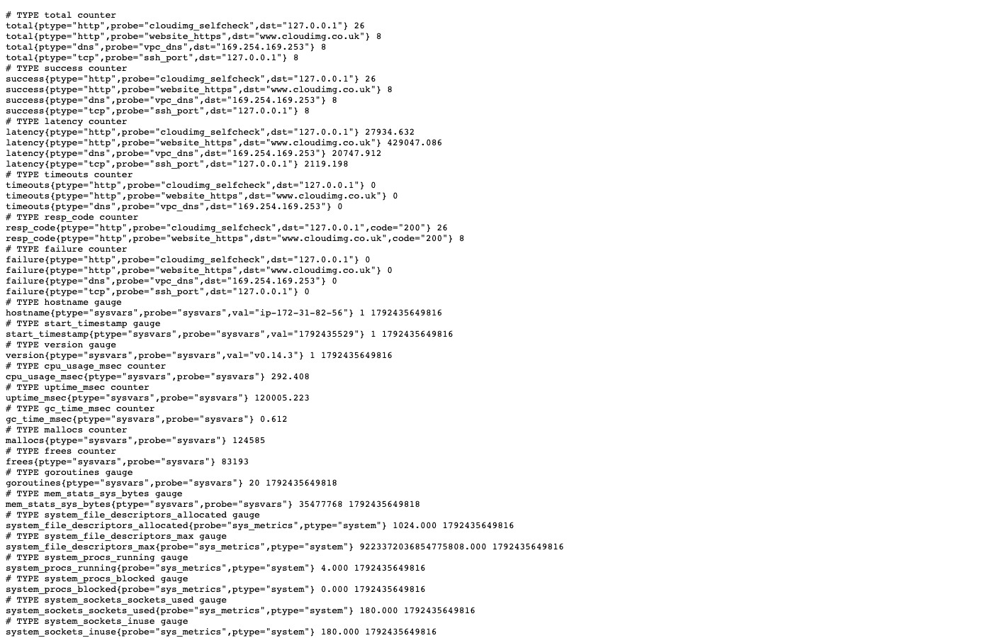 The raw Prometheus metrics page with the total, success, latency, timeouts and failure counters for each probe