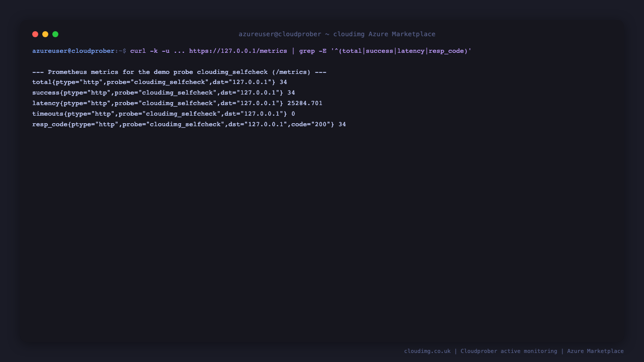 the Prometheus metrics endpoint returns the total, success, latency and resp_code series for the cloudimg_selfcheck HTTP probe, with success equal to total and resp_code labelled code 200, confirming the demonstration probe is running and succeeding