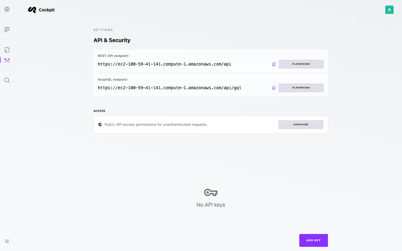 The Cockpit API & Security page with the REST and GraphQL endpoints for the instance's host name, the Access settings for unauthenticated requests and No API keys