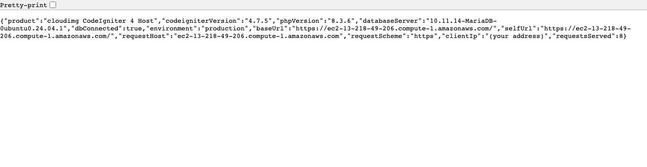 The /api/info endpoint returning the CodeIgniter, PHP and database versions, the production environment, the configured base URL and the request counter as JSON