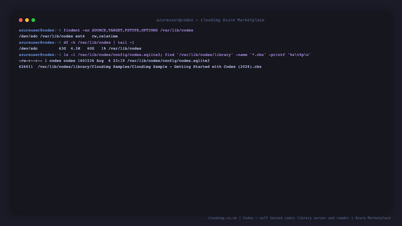 The 64 GiB ext4 data disk mounted at /var/lib/codex with its free space, the Codex database file on that disk, and the bundled sample comic archive in the library folder