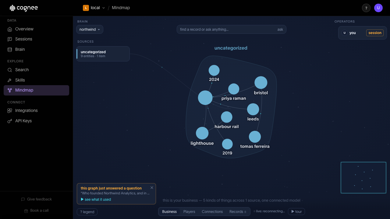 The knowledge graph Cognee built from the document