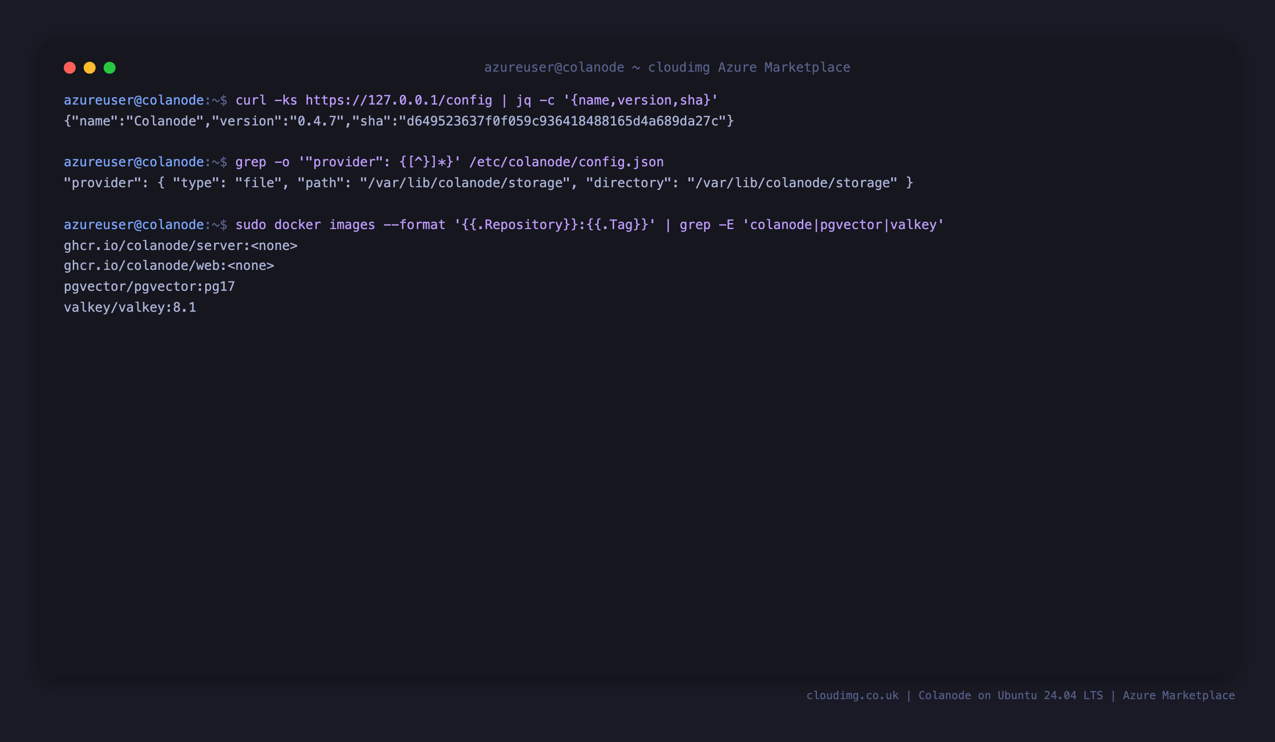 Terminal output showing the server config endpoint reporting Colanode version 0.4.7, the file storage provider, and the four pinned container images present on the VM