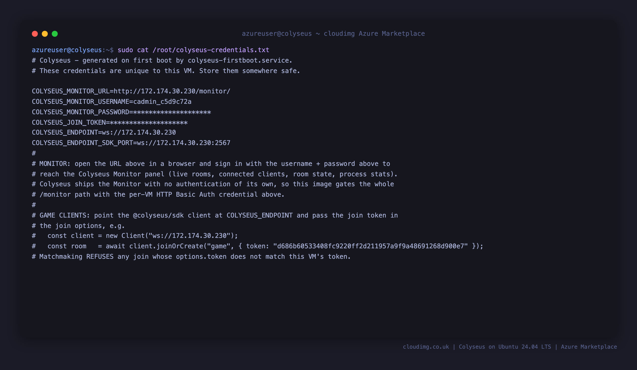 The per-VM Colyseus credentials file showing the Monitor URL, the randomised Monitor username, and a masked Monitor password and join token