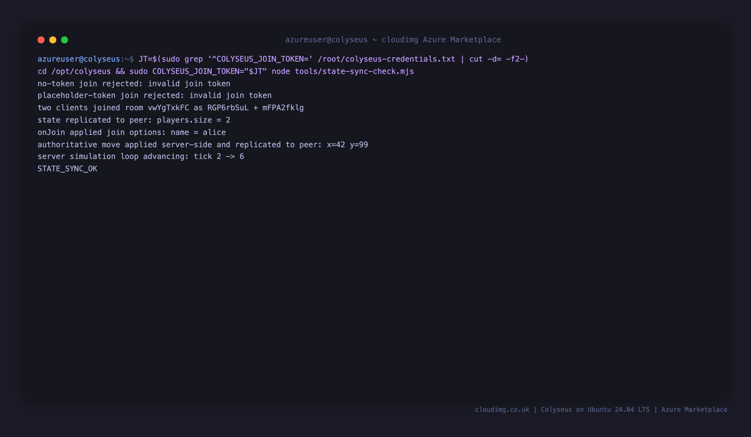 The state sync check connecting two clients, replicating state to the peer, applying an authoritative move server side and advancing the simulation tick, ending in STATE_SYNC_OK