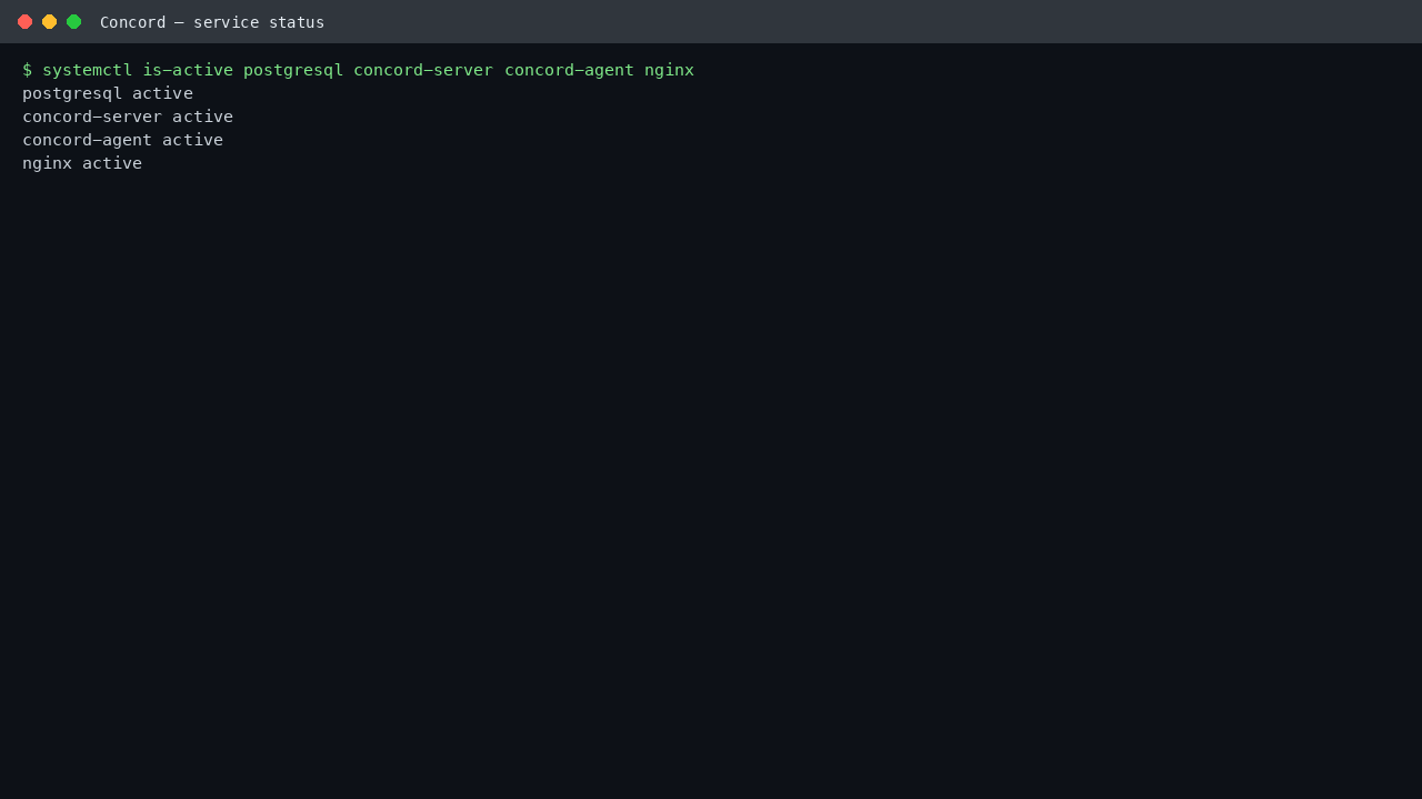 postgresql, concord-server, concord-agent and nginx services all active