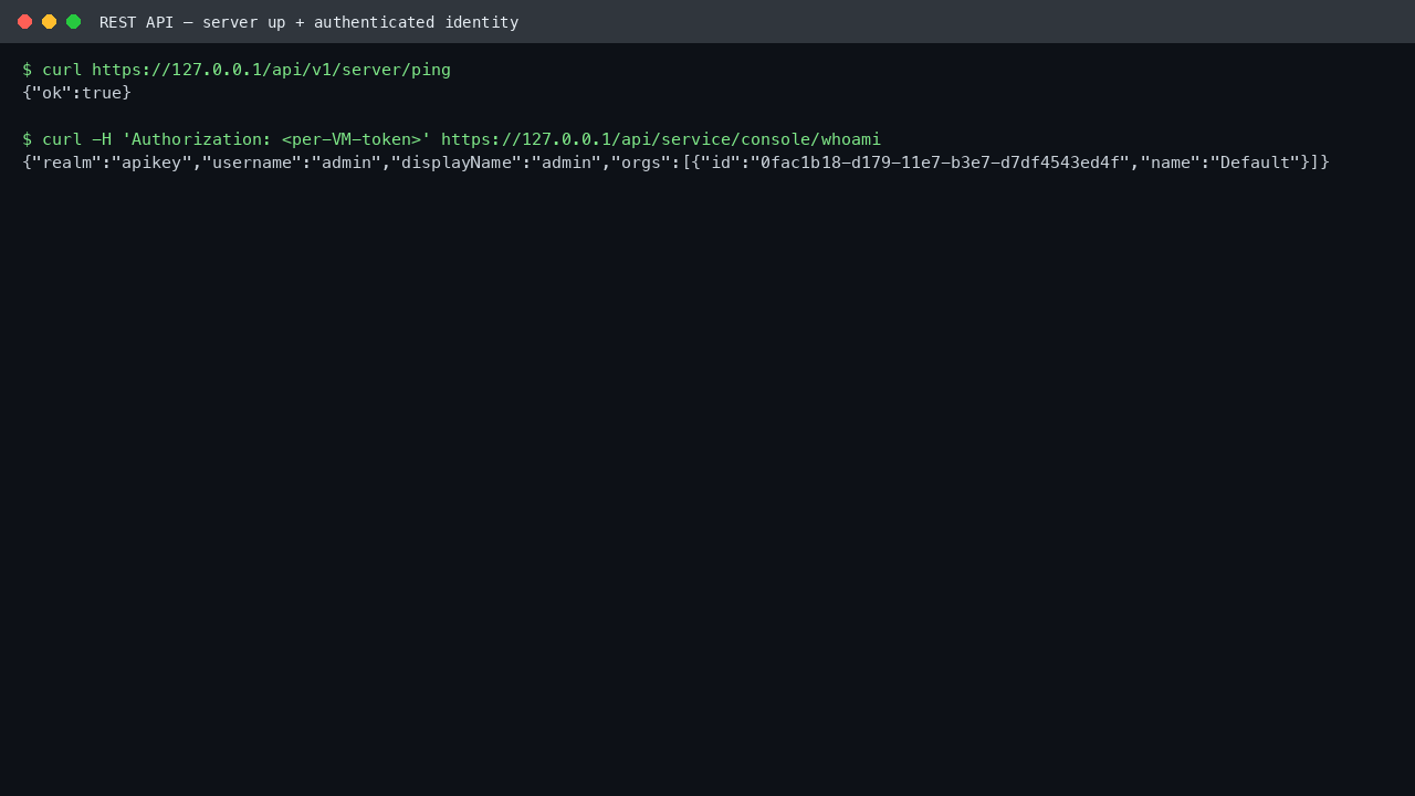The server ping response and the authenticated whoami response showing the admin identity