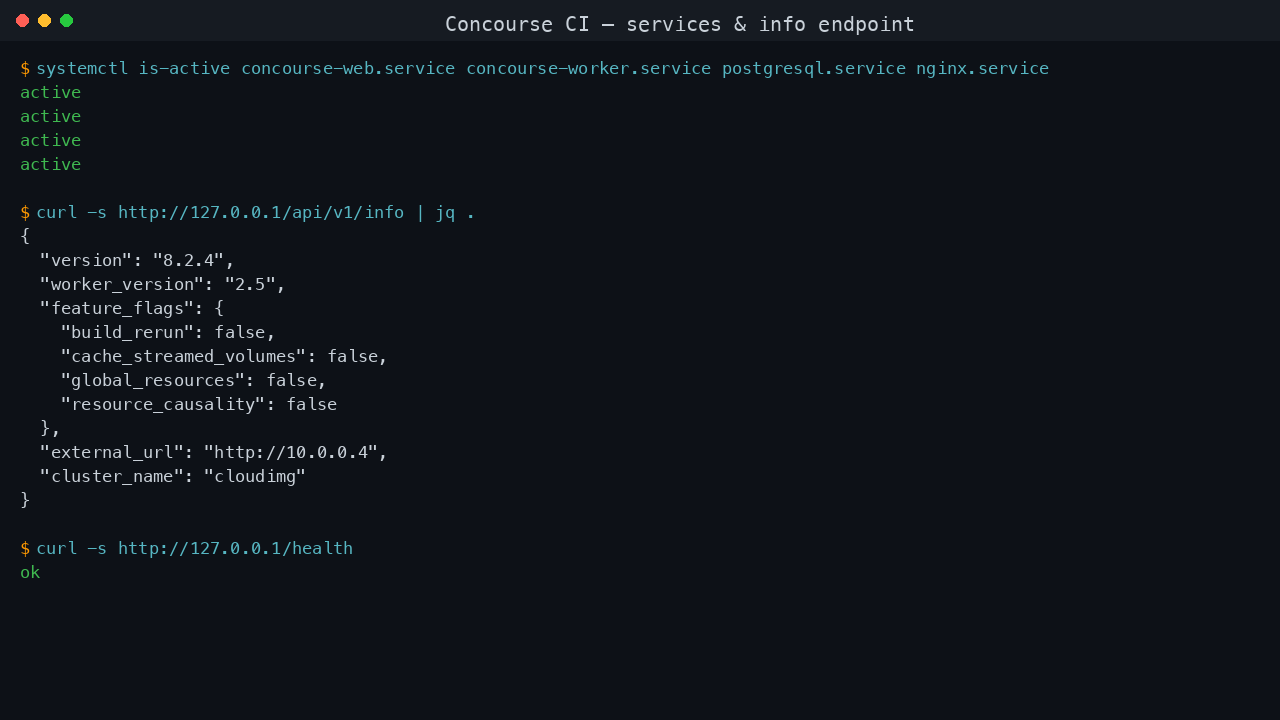 Concourse CI services, version info and dedicated data disk