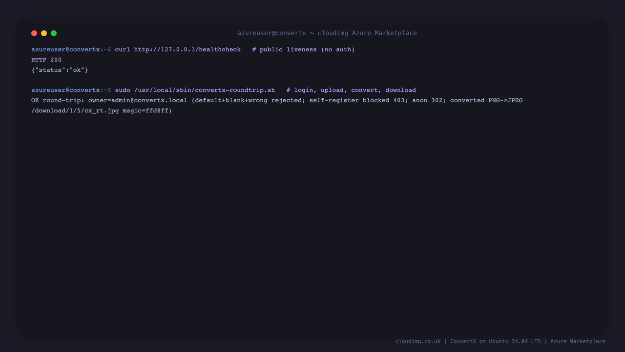 The public liveness endpoint returning HTTP 200 and the built in round trip converting a PNG to JPEG end to end