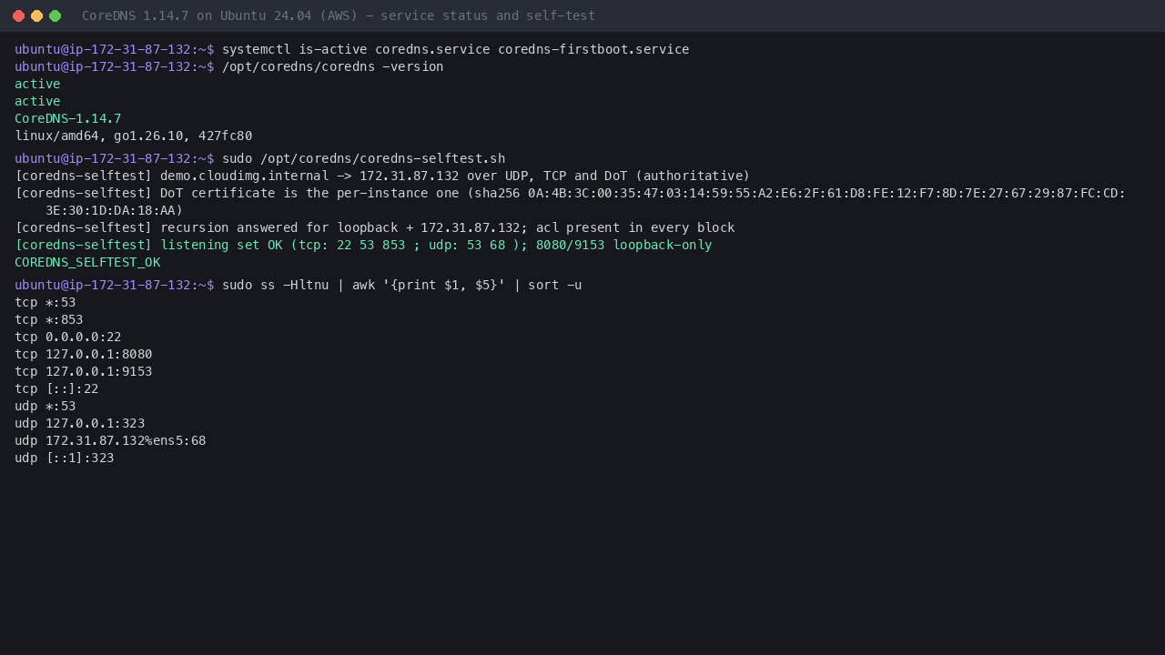 coredns.service active, coredns -version reporting 1.14.7, and the self-test confirming the demo zone over UDP, TCP and DNS-over-TLS, the per-instance certificate, recursion, the access control lists and the exact listening set