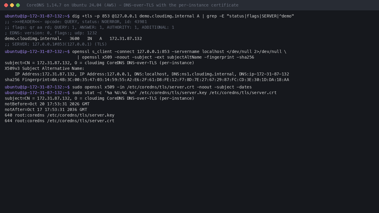 dig over DNS-over-TLS answering the demo zone on port 853, and the per-instance certificate with the private IP in its Subject Alternative Names, its fingerprint and the key readable only by root and the coredns group