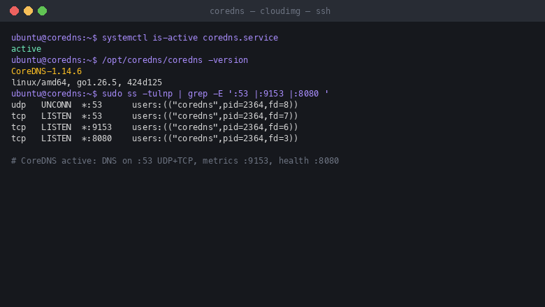 coredns.service reports active, the coredns binary reports version CoreDNS-1.14.6, and ss shows the server listening on port 53 for DNS over both TCP and UDP, port 9153 for Prometheus metrics and port 8080 for health on all interfaces