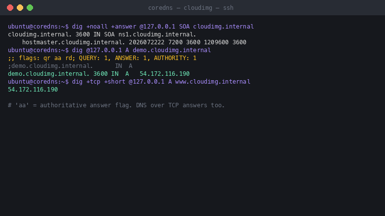 dig returns the SOA for the authoritative demo zone cloudimg.internal, and a query for demo.cloudimg.internal returns an A record with the header flags including aa, the authoritative answer flag, resolving to the instance public IP address