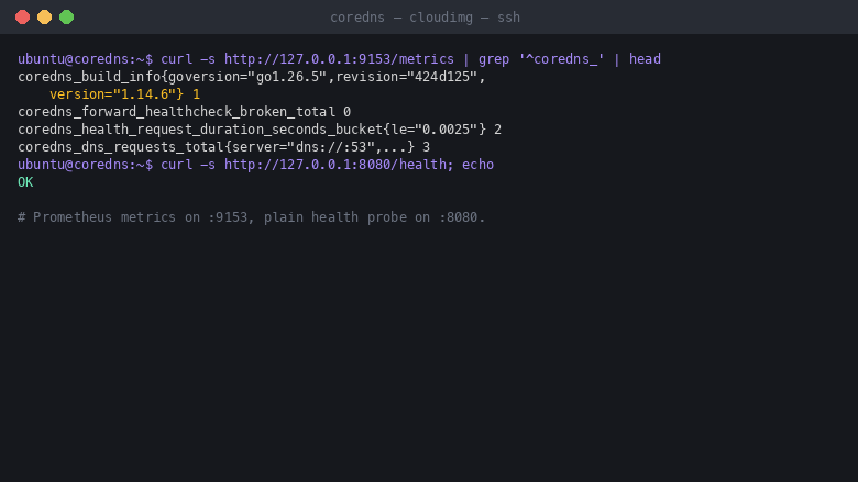 the Prometheus metrics endpoint on port 9153 returns coredns_build_info reporting version 1.14.6, coredns_forward and coredns_health counters labelled by server and response code, and the health endpoint on port 8080 returns OK