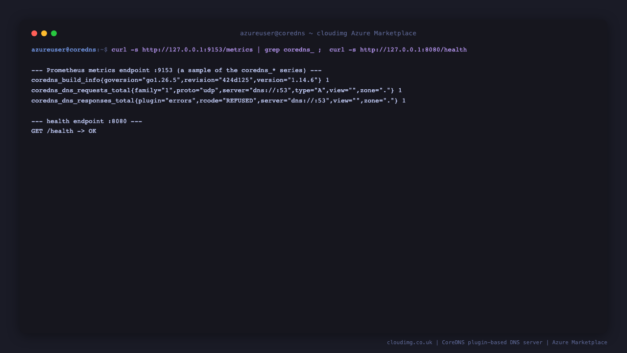 the Prometheus metrics endpoint on port 9153 returns coredns_build_info reporting version 1.14.6, coredns_dns_requests_total and coredns_dns_responses_total counters labelled by server and response code, and the health endpoint on port 8080 returns OK