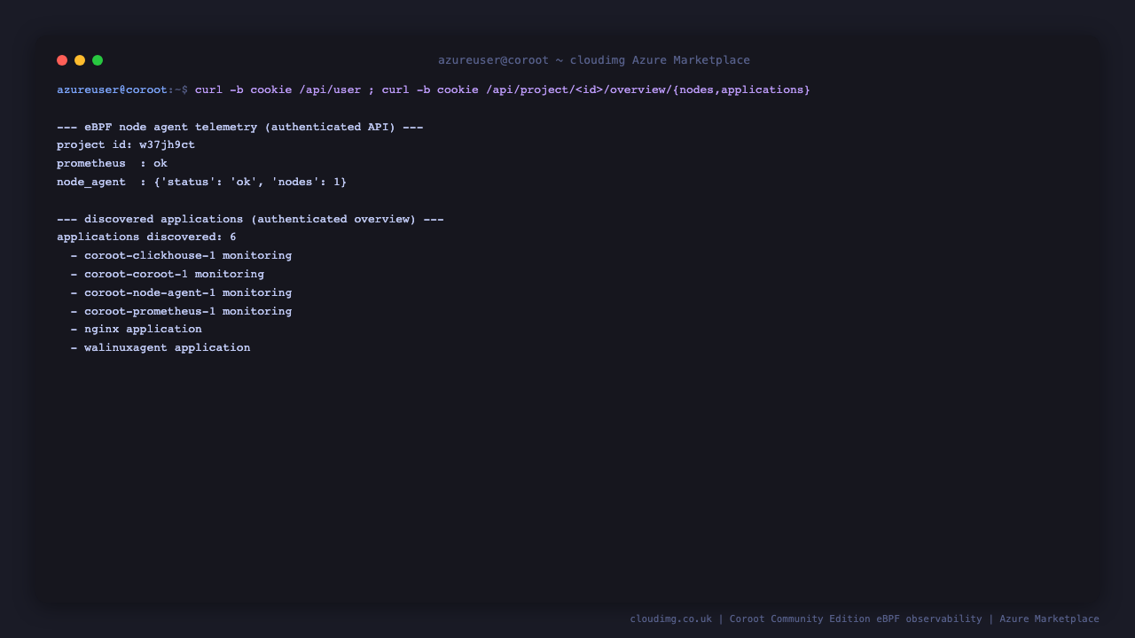 An authenticated call to the Coroot nodes overview API showing the node agent status and the discovered node, confirming eBPF telemetry is flowing into Coroot