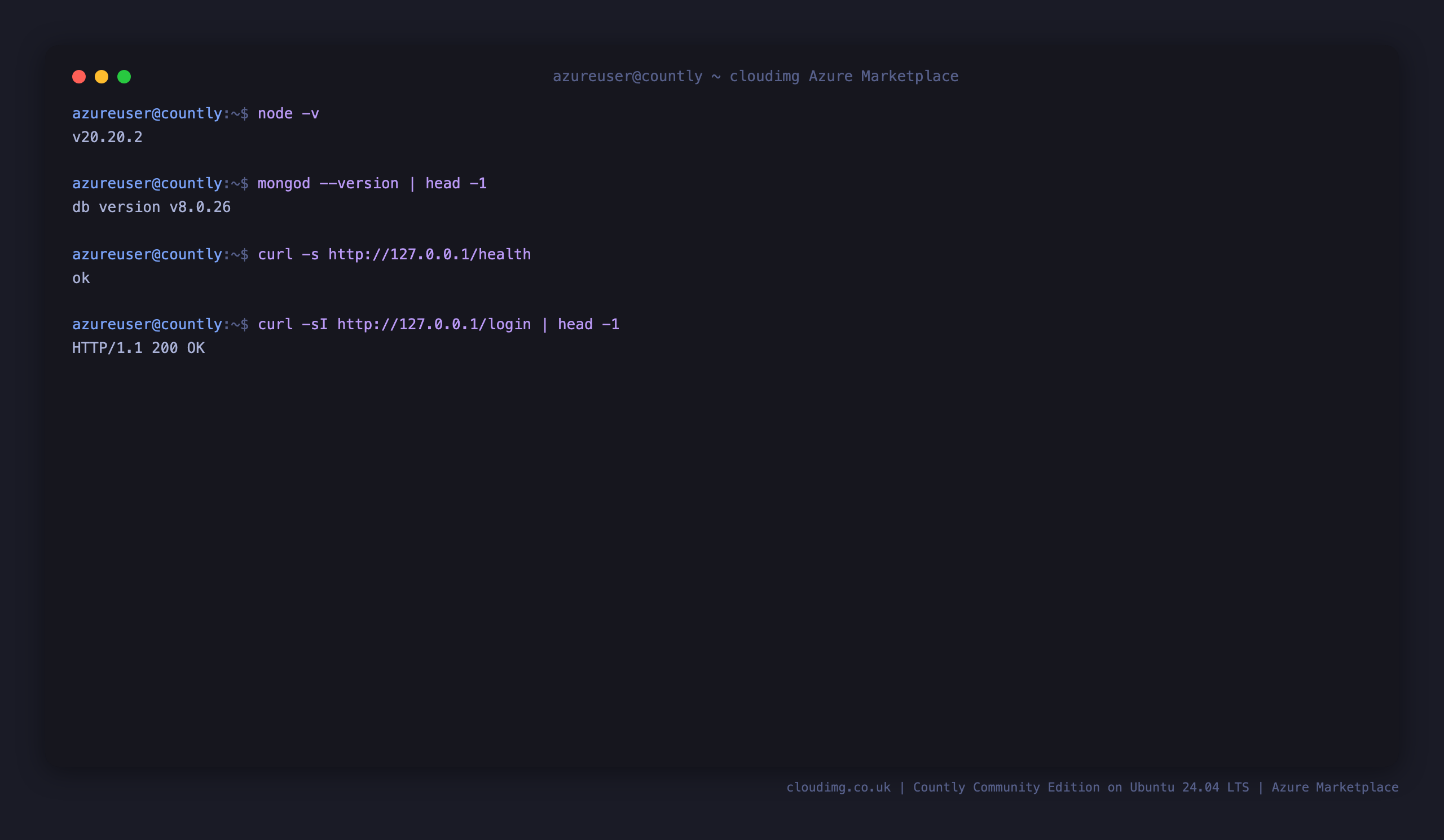 Runtime versions and health checks