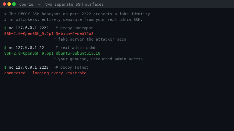 The decoy SSH banner on 2222 next to the real admin sshd banner on 22