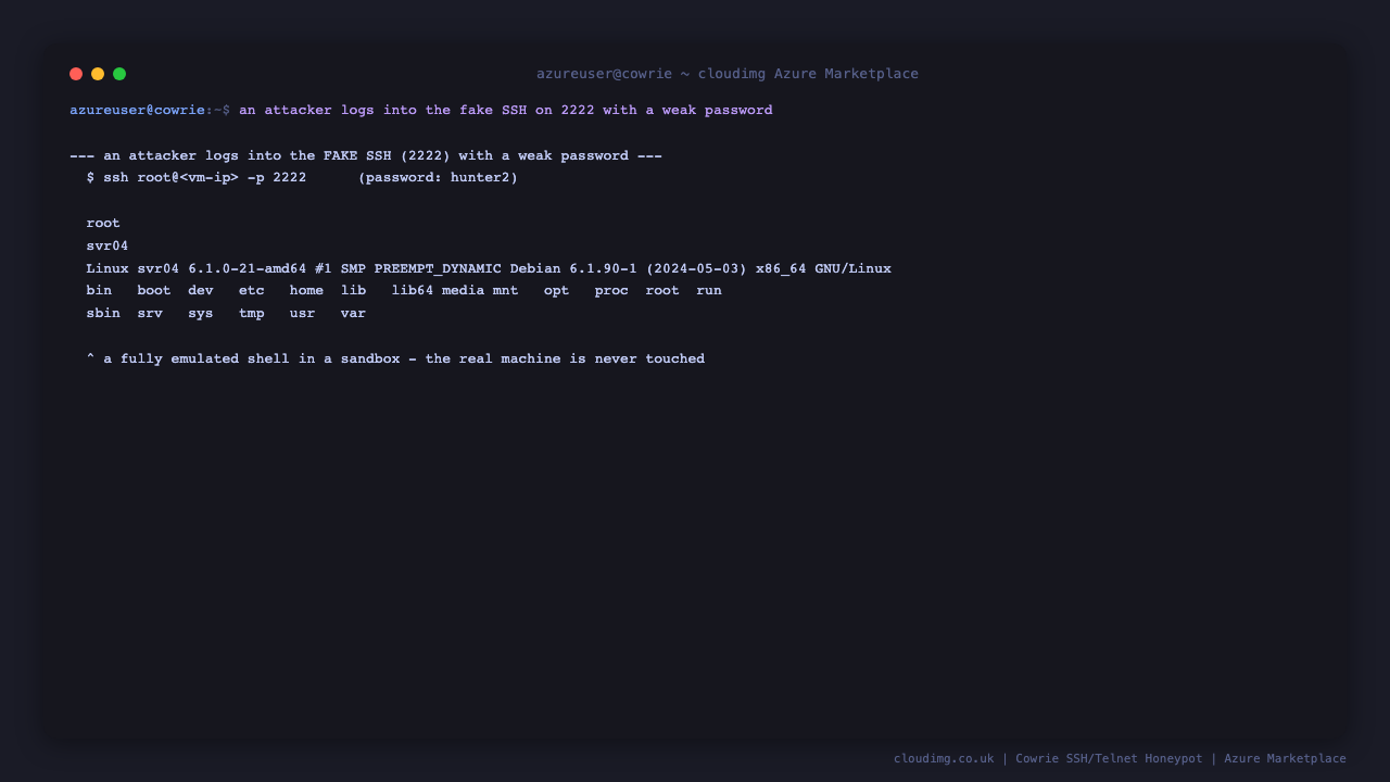 Terminal showing a weak login accepted by the honeypot and an emulated shell returning a fake root user, hostname, kernel and filesystem while never touching the real system