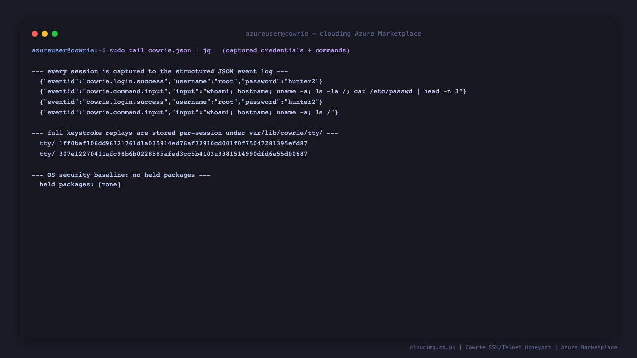 Terminal showing structured JSON events from the captured session including the login credentials and the exact commands the attacker ran