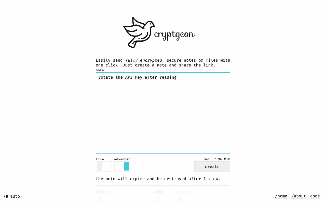 The advanced options: views, expiry in minutes and a custom password