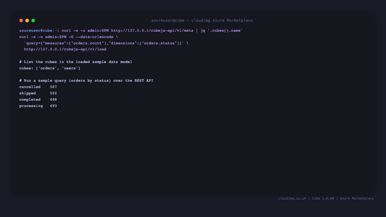 Cube sample data model and query over the REST API