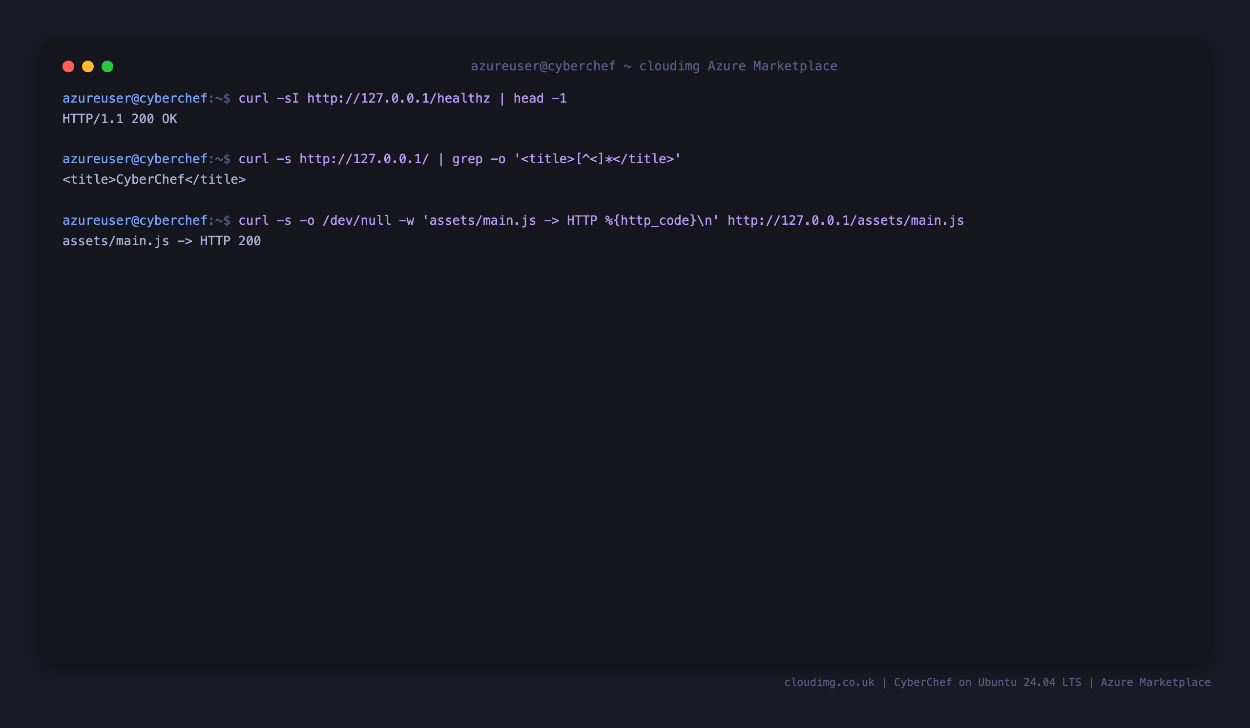 The healthz endpoint returning 200, the CyberChef page title, and the JavaScript bundle returning 200