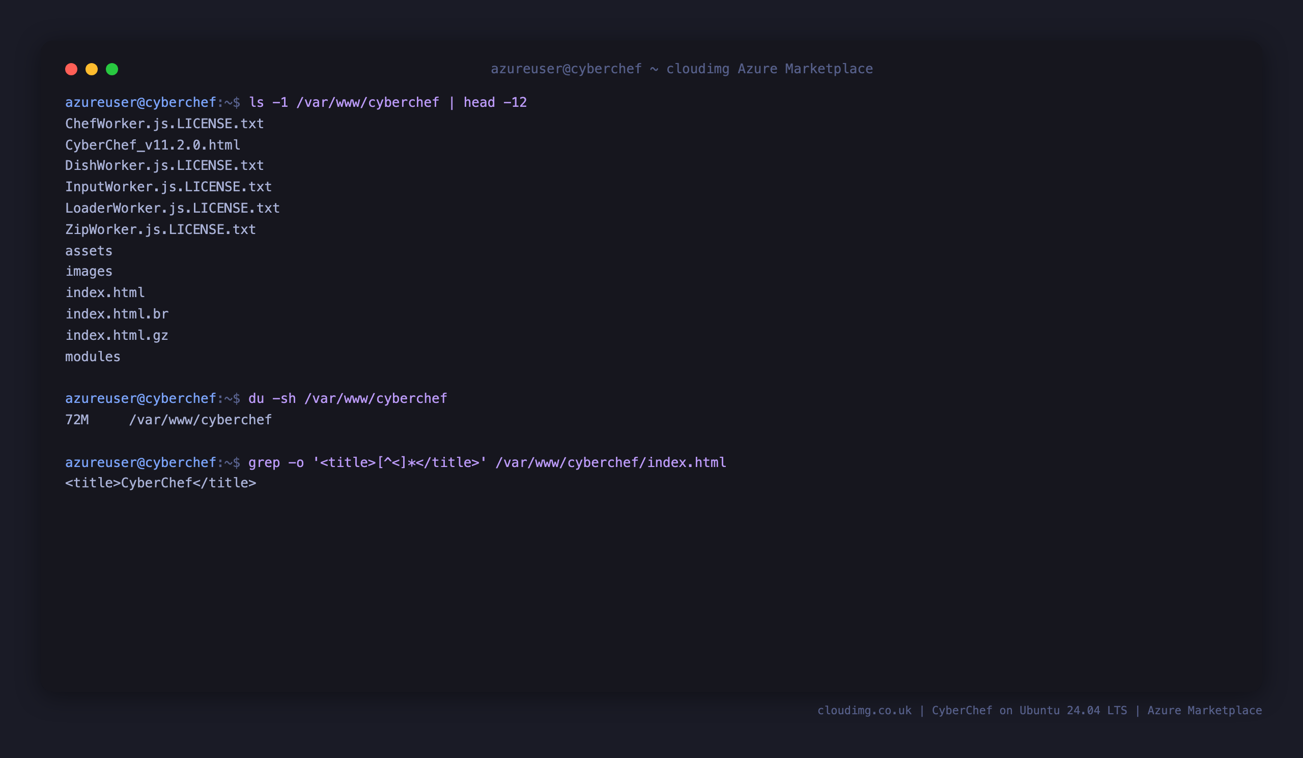 The CyberChef static bundle in the nginx docroot, showing index.html plus the assets, images and modules directories