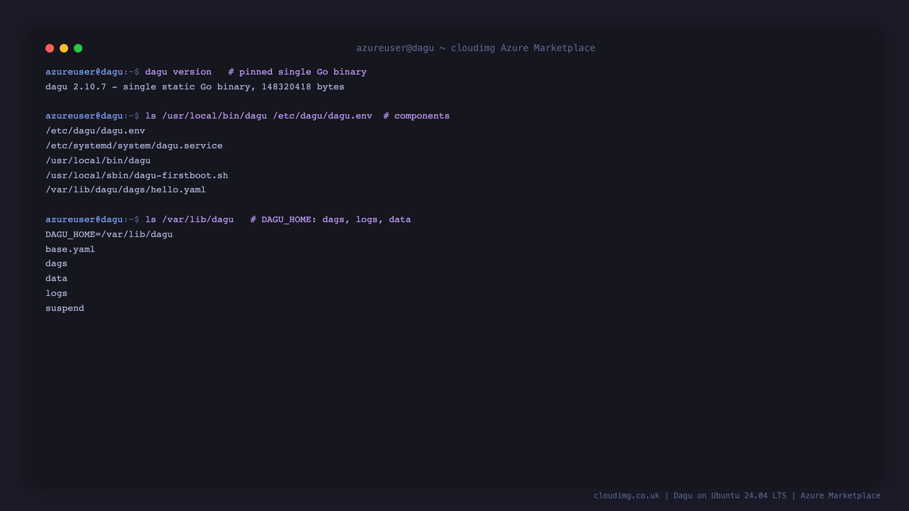 The dagu version, the single Go binary and its component paths, and the DAGU_HOME layout with the dags, logs and data directories