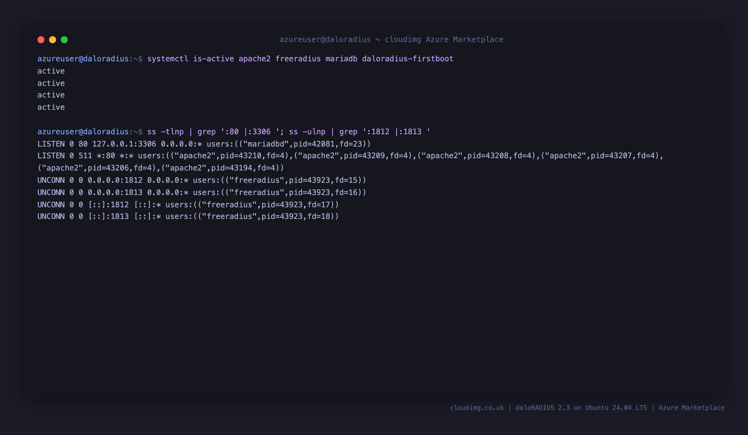 The apache2, freeradius, mariadb and daloradius-firstboot services active, with Apache on port 80, MariaDB bound to loopback 127.0.0.1:3306, and FreeRADIUS listening on UDP 1812 and 1813