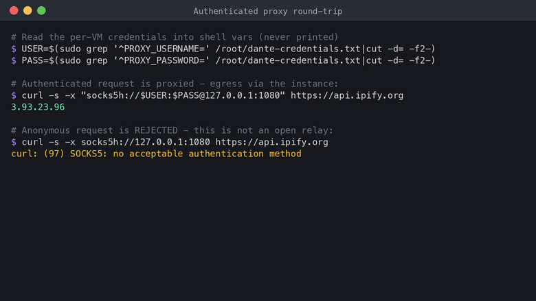 Authenticated proxy round-trip succeeds while anonymous access is rejected