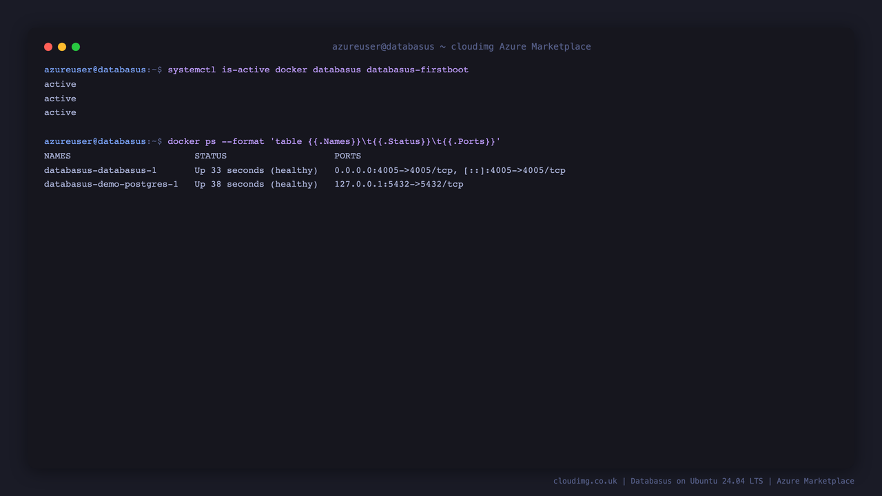 Databasus services and containers running