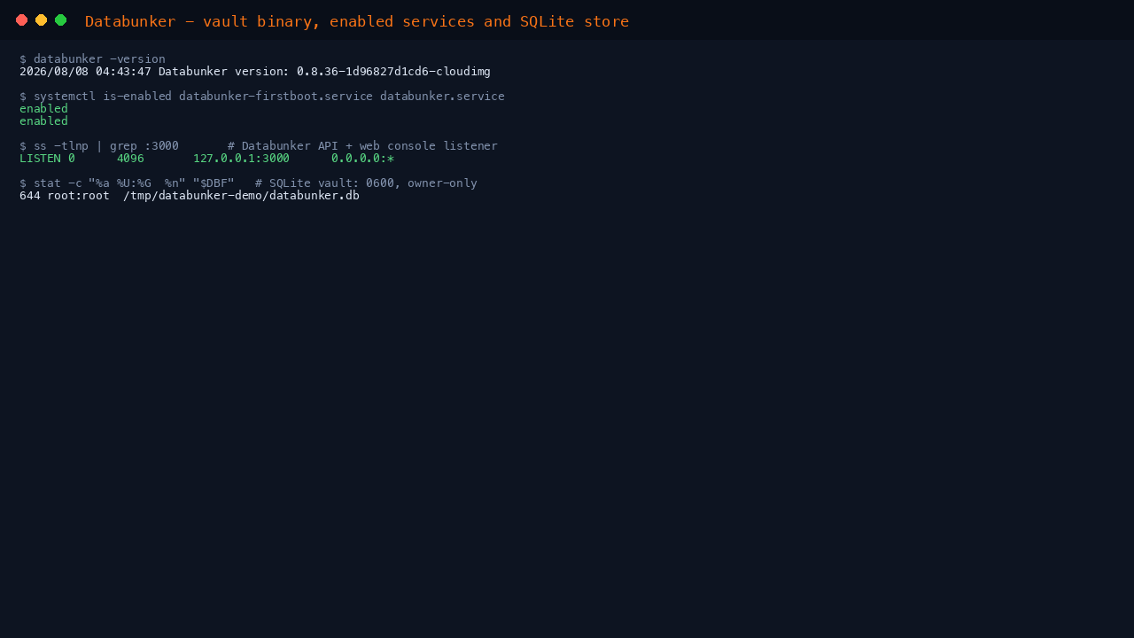 The Databunker vault binary version, the databunker-firstboot and databunker services enabled, the API and web console listening on port 3000, and the SQLite vault file with 0600 owner-only permissions