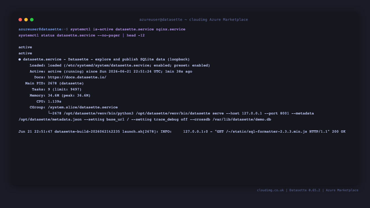 Terminal output showing datasette.service and nginx.service active