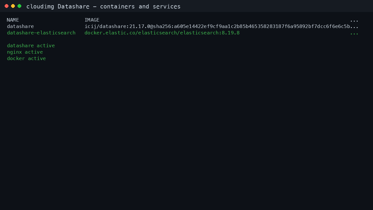 The Datashare and Elasticsearch containers both reported Up and healthy, and the datashare, nginx and docker services all reported active
