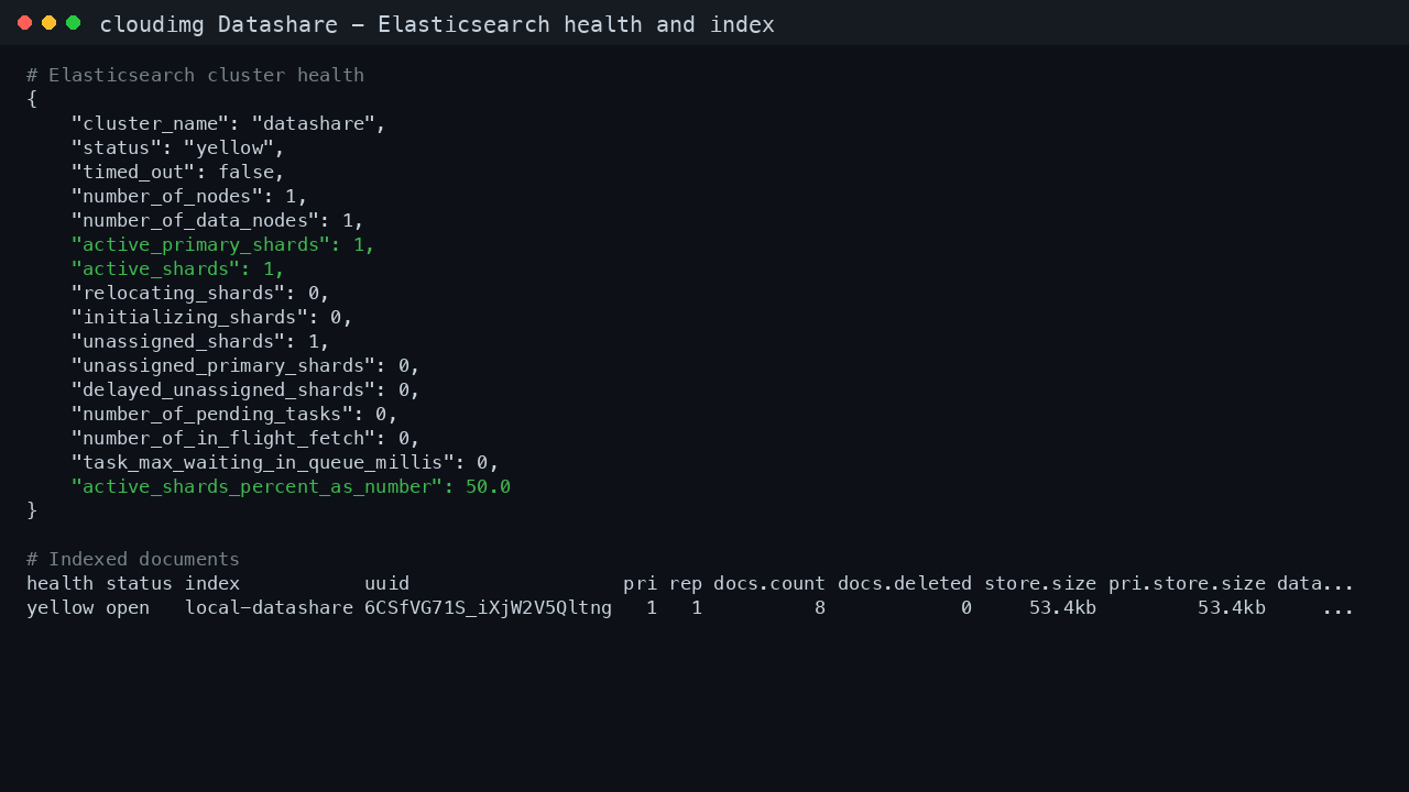 The Elasticsearch cluster health reported as a single node, and the local-datashare index listed with its indexed sample documents