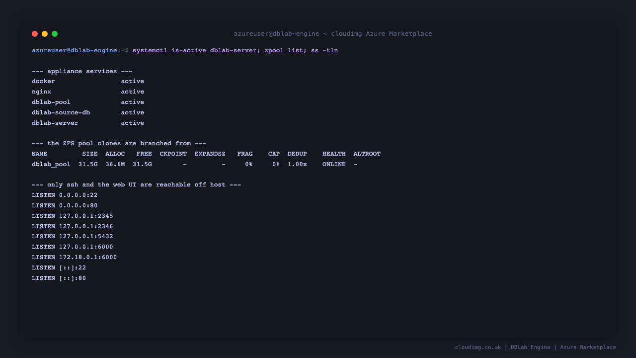 DBLab services and ZFS pool