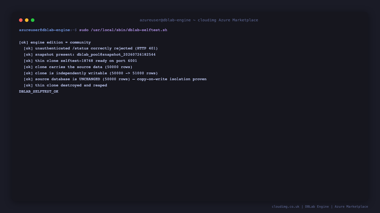 DBLab self-test output