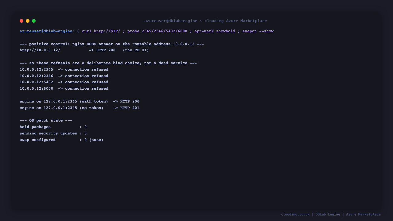 DBLab security posture and patch state