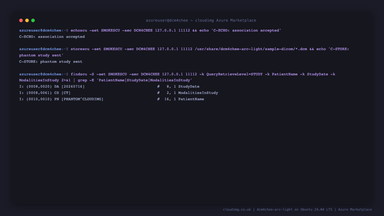A DICOM C-ECHO association accepted, a C-STORE sending the phantom study to AE title DCM4CHEE on port 11112, and a C-FIND query returning the stored study by StudyInstanceUID and PatientName