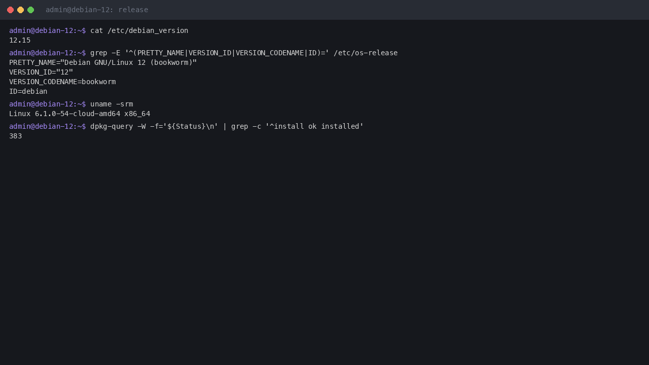 Terminal output showing debian_version 12.15, os-release reporting Debian GNU/Linux 12 bookworm, uname reporting the 6.1.0-54 cloud-amd64 kernel, and 383 installed packages
