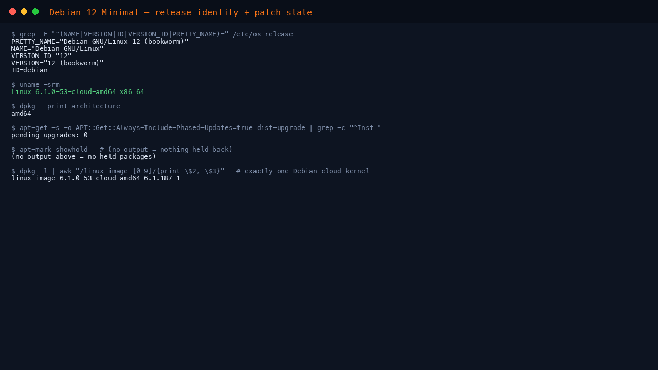 The terminal shows the os-release fields reporting NAME Debian GNU/Linux, VERSION 12 bookworm, ID debian and VERSION_ID 12, uname reporting an x86_64 cloud kernel, and dpkg print-architecture reporting amd64