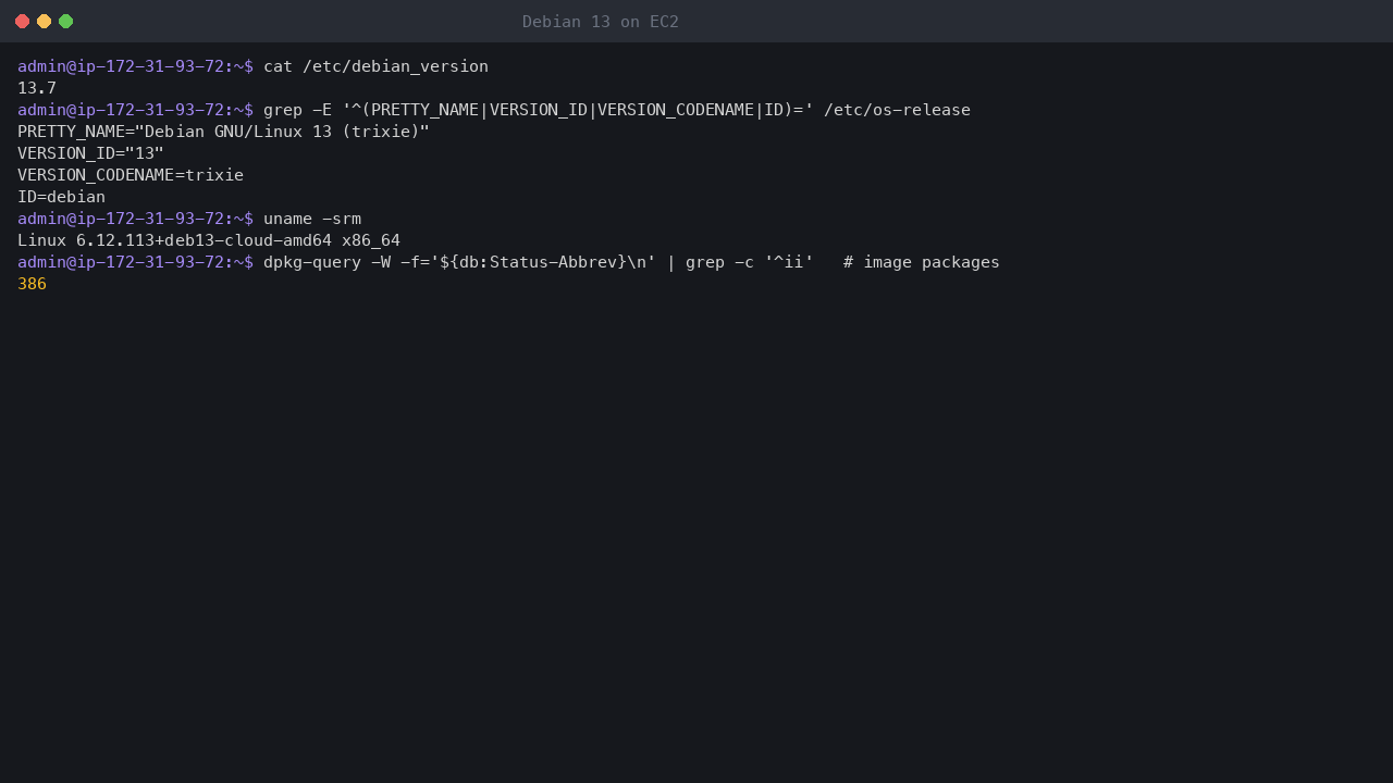 Terminal output showing debian_version 13.7, os-release reporting Debian GNU/Linux 13 trixie, uname reporting the 6.12.113+deb13 cloud-amd64 kernel, and 386 installed packages