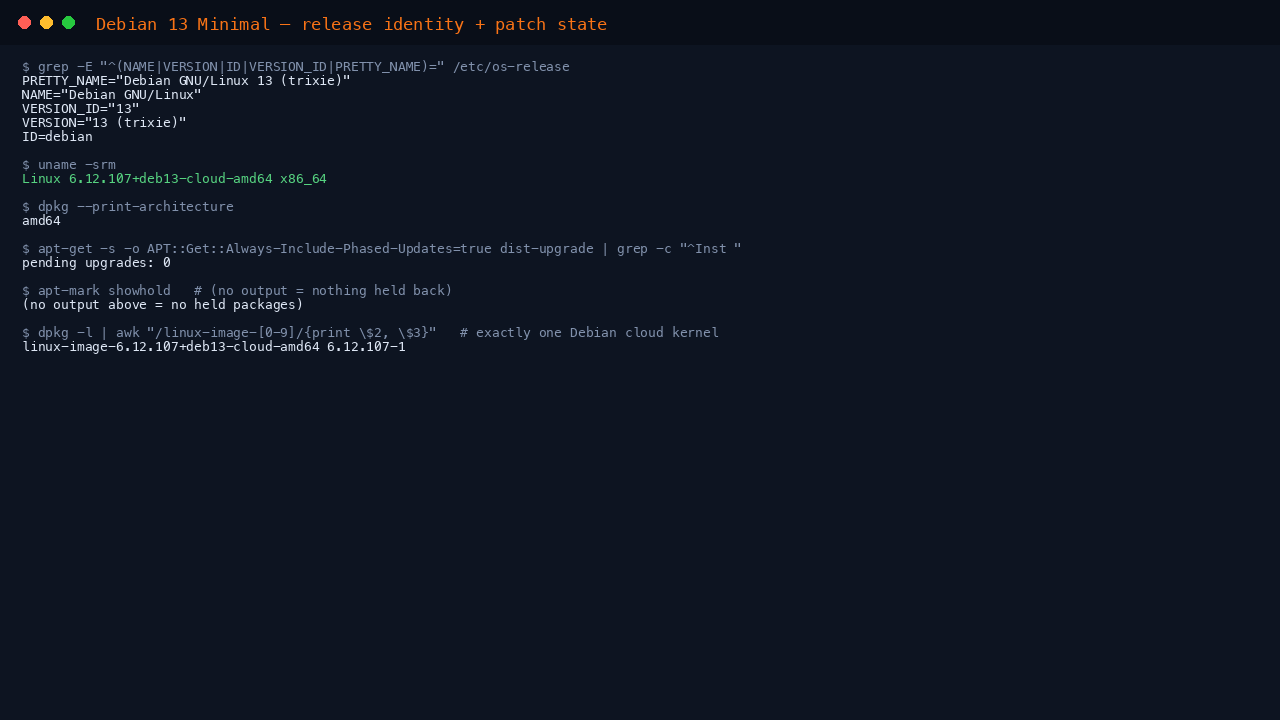 The terminal shows the os-release fields reporting NAME Debian GNU/Linux, VERSION 13 trixie, ID debian and VERSION_ID 13, uname reporting an x86_64 cloud kernel, and dpkg print-architecture reporting amd64