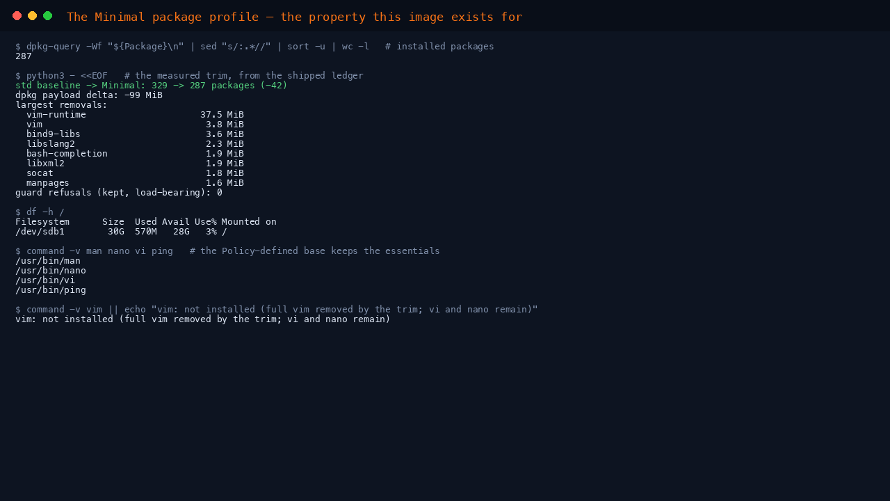 The terminal shows the installed package count of 288, the measured trim of 42 packages against the standard image from the shipped ledger with the largest removals listed, and df reporting a lean root filesystem