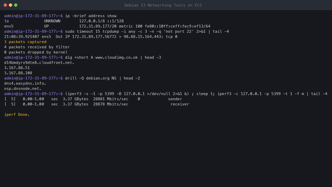 Terminal output showing the interfaces, a tcpdump capture, DNS answers from dig and drill, and a loopback iperf3 test