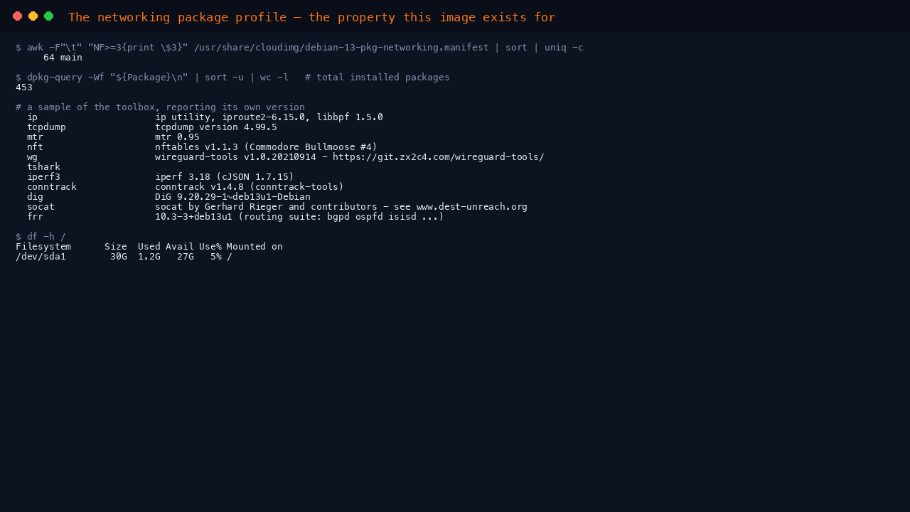 The terminal shows the manifest reporting 64 main packages and no other component, 454 packages installed in total, a sample of the toolbox each reporting its own version including iproute2, tcpdump, mtr, nftables, wireguard-tools, TShark, iperf3, conntrack, dig and socat, and df reporting 27 GB free on the root filesystem