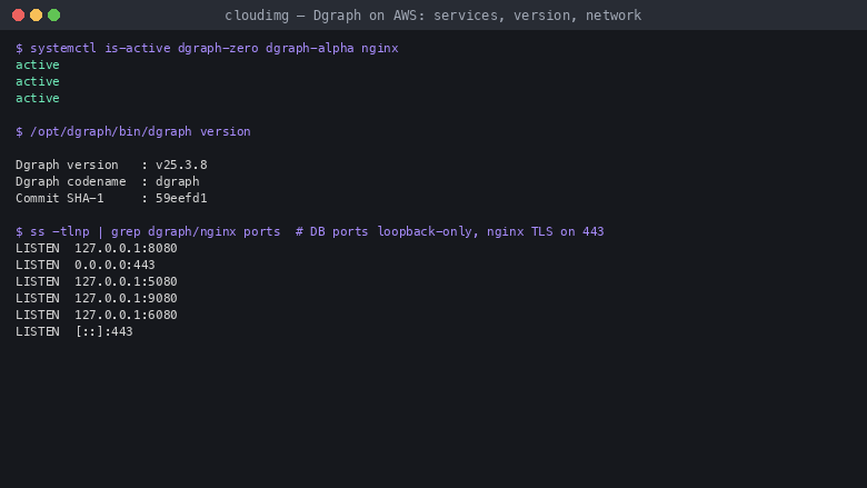 Dgraph services active, version and loopback-bound network